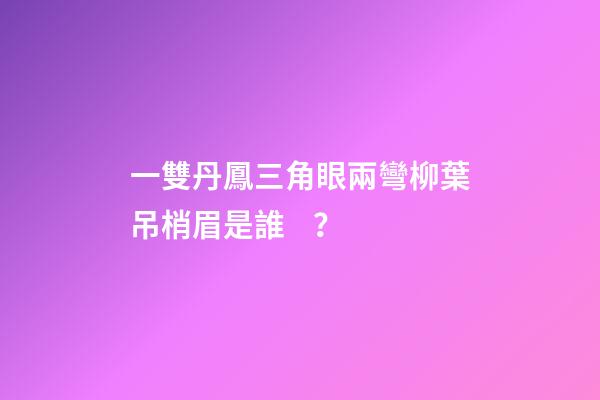 一雙丹鳳三角眼兩彎柳葉吊梢眉是誰？